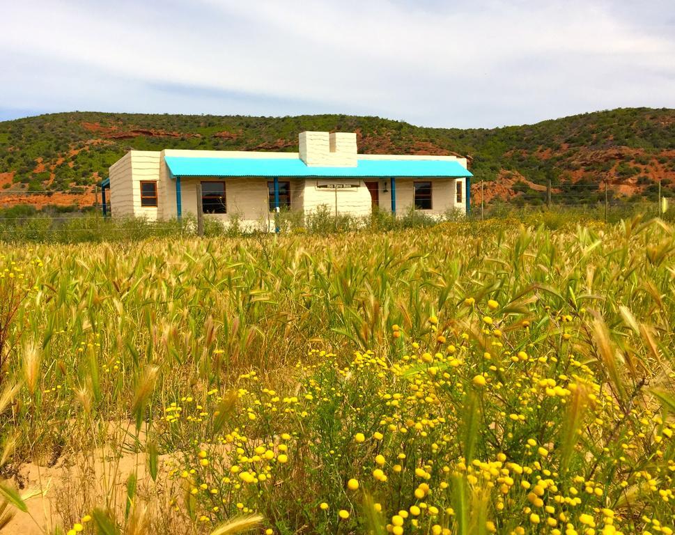 Shadowlands Guest Farm Hotel Oudtshoorn Ruang foto