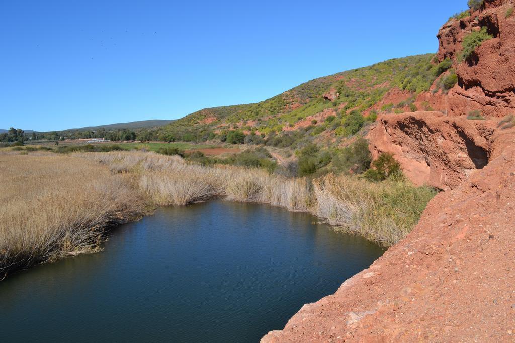 Shadowlands Guest Farm Hotel Oudtshoorn Bagian luar foto