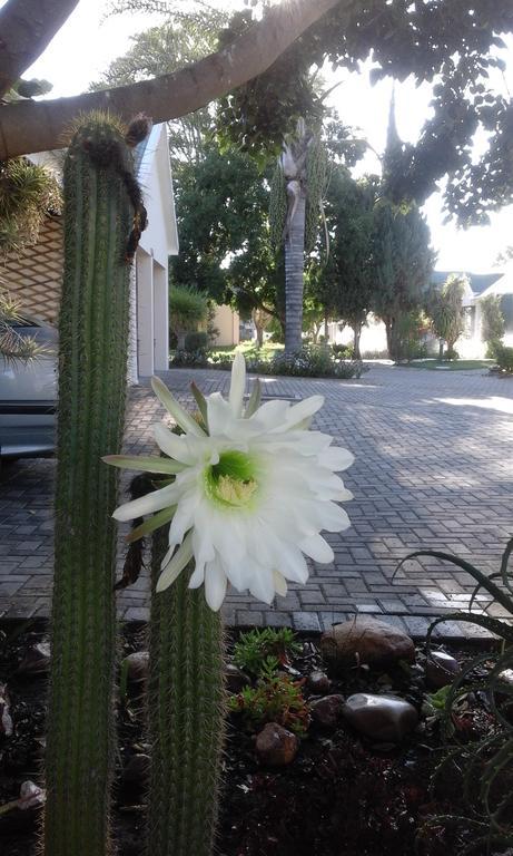 Shadowlands Guest Farm Hotel Oudtshoorn Bagian luar foto